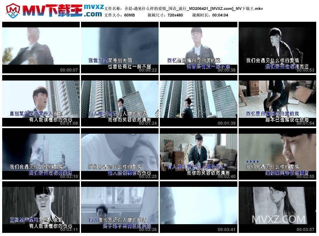 齐晨-遇见什么样的爱情_国语_流行_MD206421